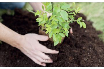 Corso gratuito di compostaggio domestico